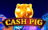 Cash Pig